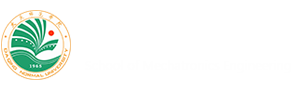 2026美加墨世界杯官网